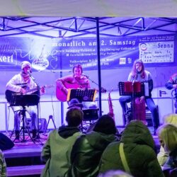 Volkertmarkt 2025<br /><a href='https://BergWolf.Photography' target='_blank'>Fotos©BergWolf.Photography (1/26)